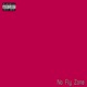 No Fly Zone Single