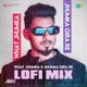 What Jhumka X Jhumka Gira Re LoFi Mix Single