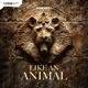 Like an Animal Single