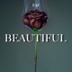 Beautiful Single