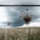 I Don t Need Money to Be Alone EP
