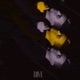 Dive Single
