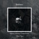 Tenderness feat Maria Opale Single
