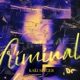 Criminal Single