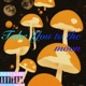 Take You to the Moon Single