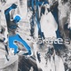 SKATE 3REE Single