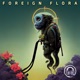 Foreign Flora Single