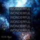 Wonderful Wonderful Single