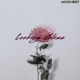 Looking Glass Single