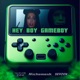 HEY BOY GAMEBOY Single