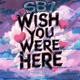 Wish You Were Here Single