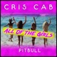 All of the Girls feat Pitbull Single