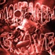 MONTAGEM GRAVE EP