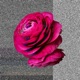 Negative Space EP