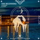 The Beginning Single
