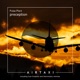Perception Single