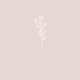 Camellia with floryy Single