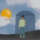 Your Life Single
