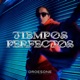 Tiempos perfectos Single