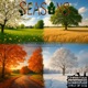 Seasons Single