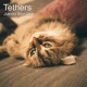 Tethers Single