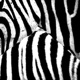 ClubHouse Art Jungle Freestyle Single