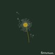 Dandelions Single