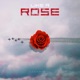 Like a Rose Single