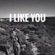 I Like You Anischaya Single