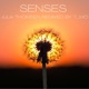 Senses T Mo remix Single