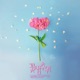 꽃샘추위 Single