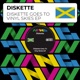 Diskette Goes To Vinyl Skies EP Single