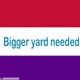 Bigger Yard Needed EP