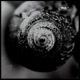 Into the Circle EP