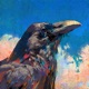 烏 Raven Single