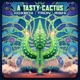A Tasty Cactus Single