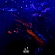 Lost in the Stars EP