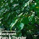 Field Recordings Backyard Rain Thunder