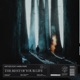 The Rest of Your Life feat Karin Park Single