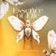 Essence of Life Single