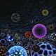 Sub Atomic EP