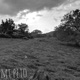 Mt Peto Single