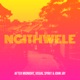 Ngithwele Single