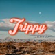 TRIPPY feat CLR Single