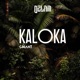 KALOKA CHANT Single