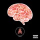 Understand feat King Carlow C Red Single