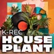 House Plant