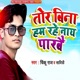 Tor Bina Hame Rahe Nay Parabai Single