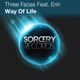 Way of Life feat Erin Single