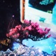 Concrete Jungle Single